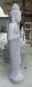 morepic-4